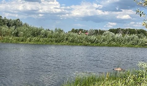 Берега Урала станут чище